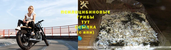 mix Рославль