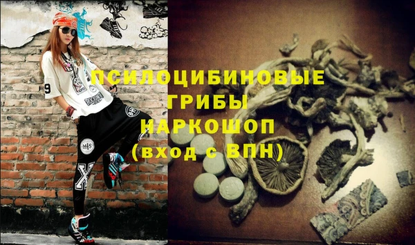 гидра Протвино