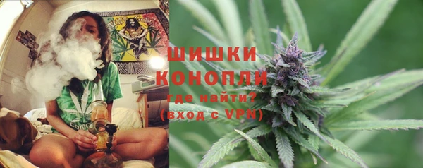 дмт Нестеровская
