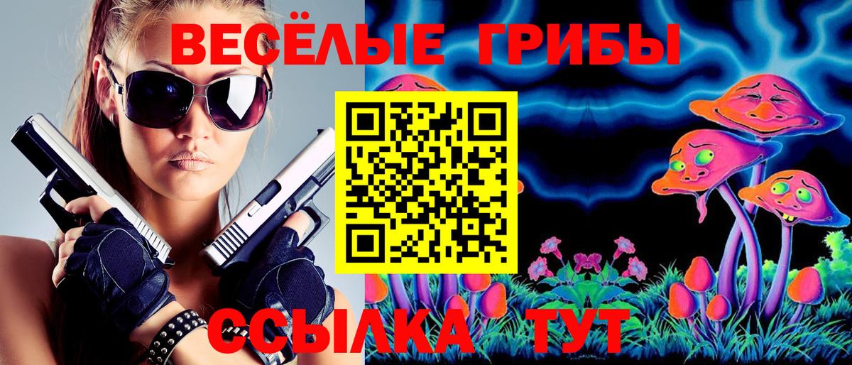 Сокол  Псилоцибиновые грибы Psilocybine cubensis  где можно купить наркотик  Вход с VPN 